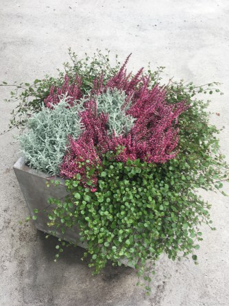 E705F6FD-11D2-4B89-95F1-F812376DE129